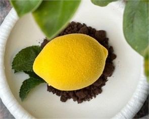 Десерт "Цитрон" бельгийский шоколад, пюре юдзу и нежный мусс 3010_D0415